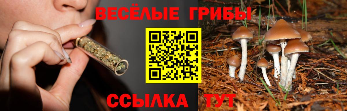 Псилоцибиновые грибы мухоморы Лабинск